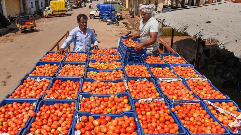 नेपालबाट ३० टन गोलभेंडा भारत निर्यात